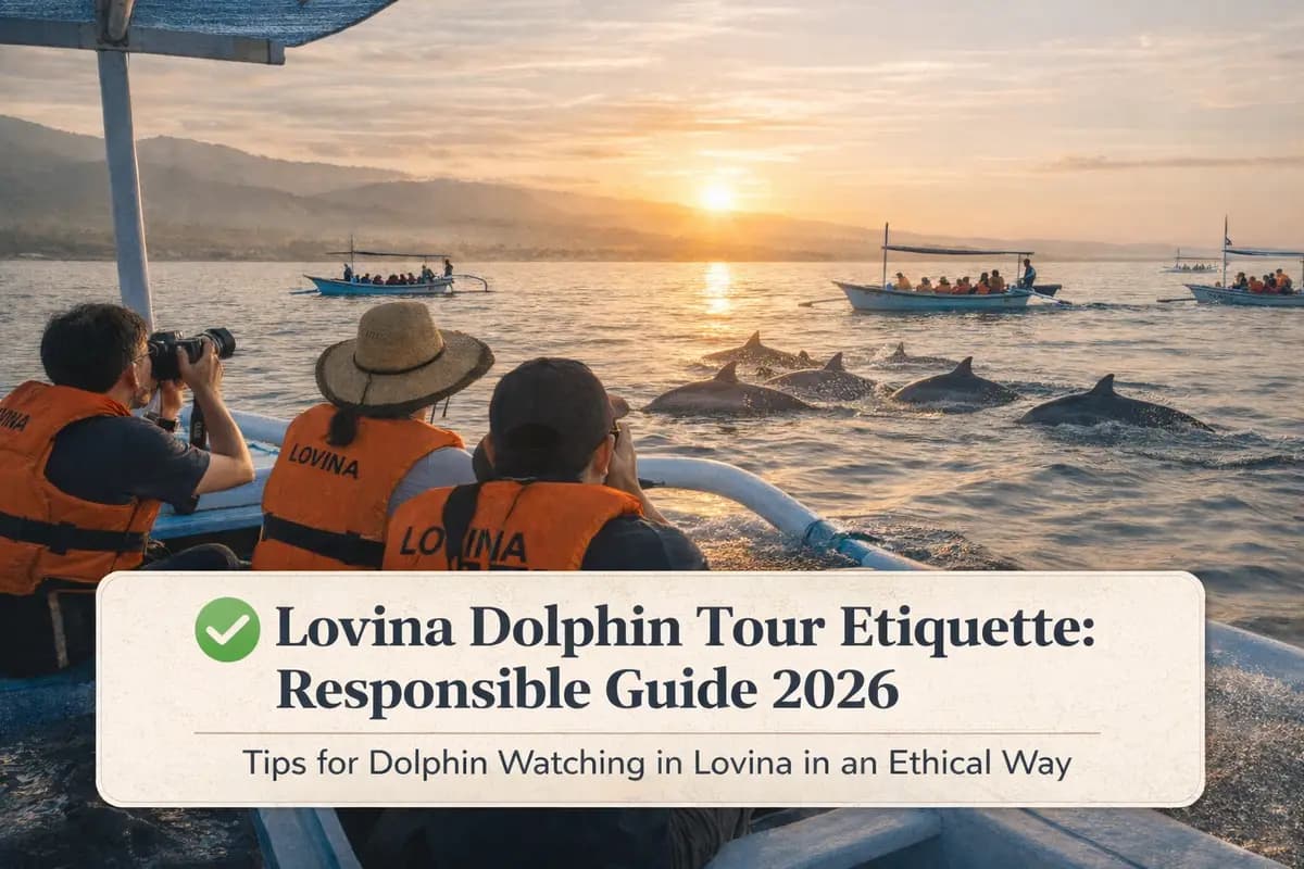 Lovina Dolphin Tour Etiquette: Responsible Guide 2026