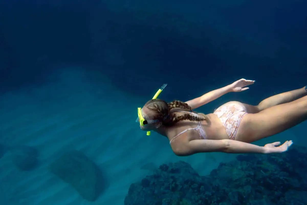 Lovina Dolphin Watching & Snorkeling Sunrise Bali